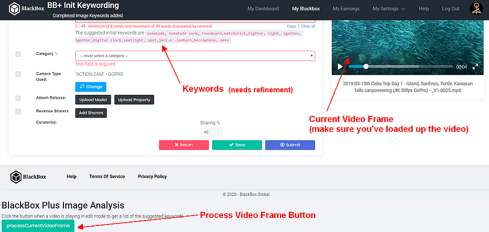 Example Initial Keywording usage and output